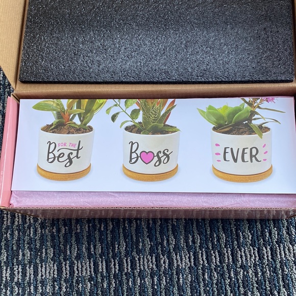 Planters - Picture 2 of 3